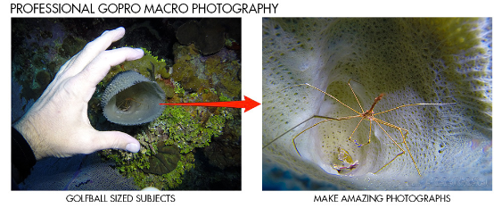 Backscatter +15 MacroMate Mini makrolinssi - Image 2